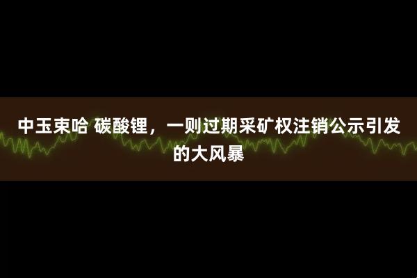 中玉束哈 碳酸锂,一则过期采矿权注销公示引发的大风暴
