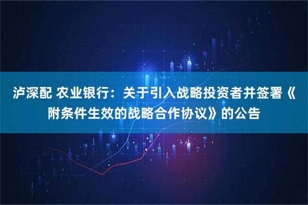 泸深配 农业银行：关于引入战略投资者并签署《附条件生效的战略合作协议》的公告